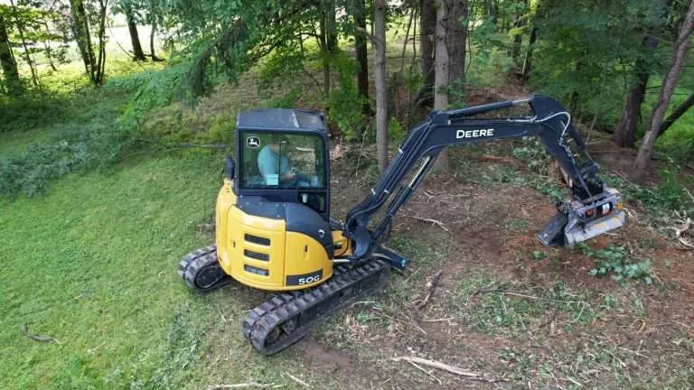 best tree removal services in Dillon