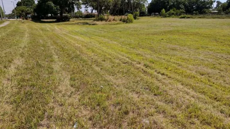 bush hogging contractors near me in south carolina