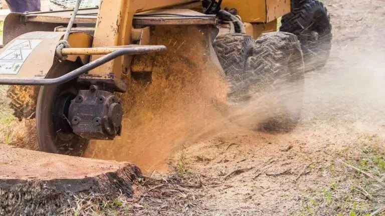 best stump removal company in south carolina
