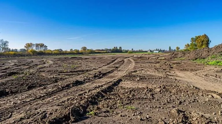 best stump removal services in Dillon