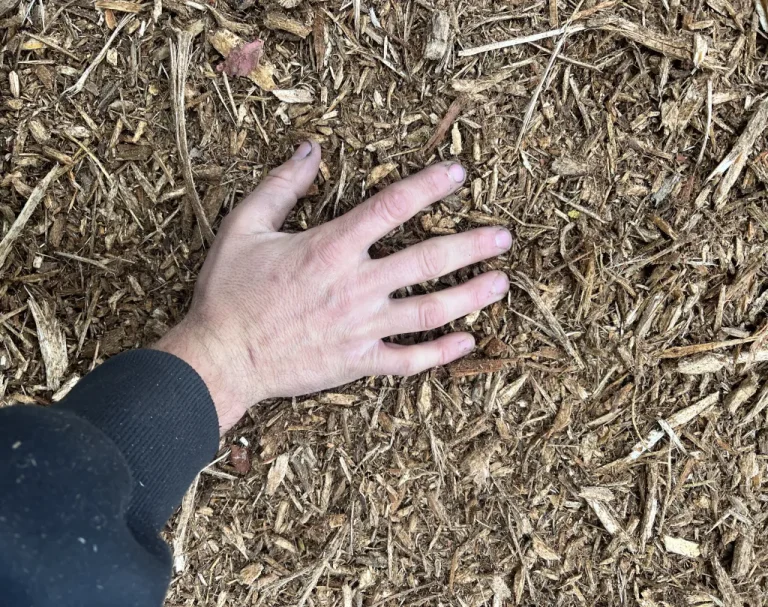 forestry mulching near me in south carolina