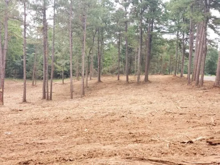 forestry mulching services near me in south carolina