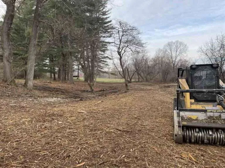 best forestry mulching company in south carolina