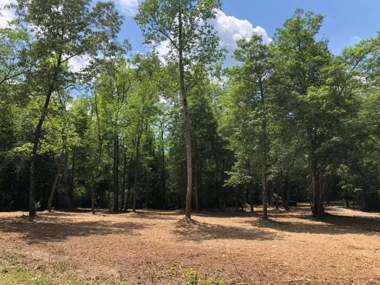forestry mulcher near me in south carolina