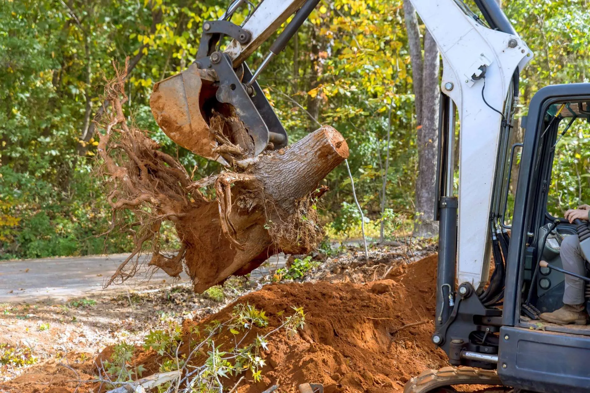 premier stump removal services in south carolina