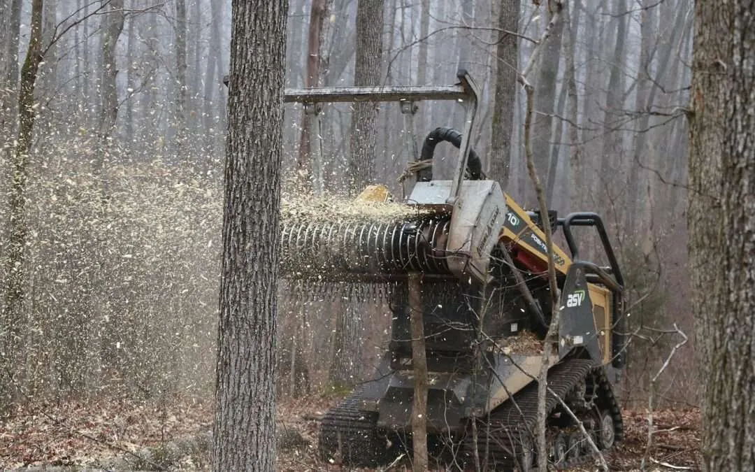 forestry mulching in south carolina