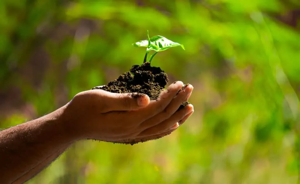 environmental protection measures in aiken