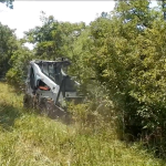 forestry mulching in greenville sc