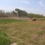 forestry mulching near me in anderson