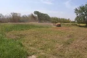 forestry mulching near me in anderson