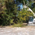 forestry mulching near me in beaufort