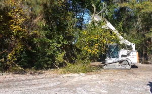 forestry mulching near me in beaufort