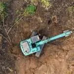forestry mulching near me in myrtle beach