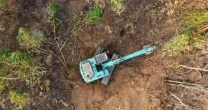 forestry mulching near me in myrtle beach